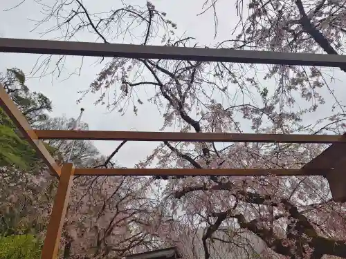 根岸八幡神社(神奈川県)