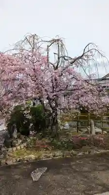 真正極楽寺(真如堂)(京都府)
