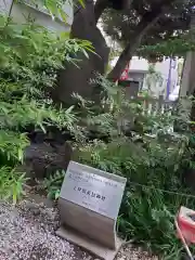 蛇窪神社の建物その他