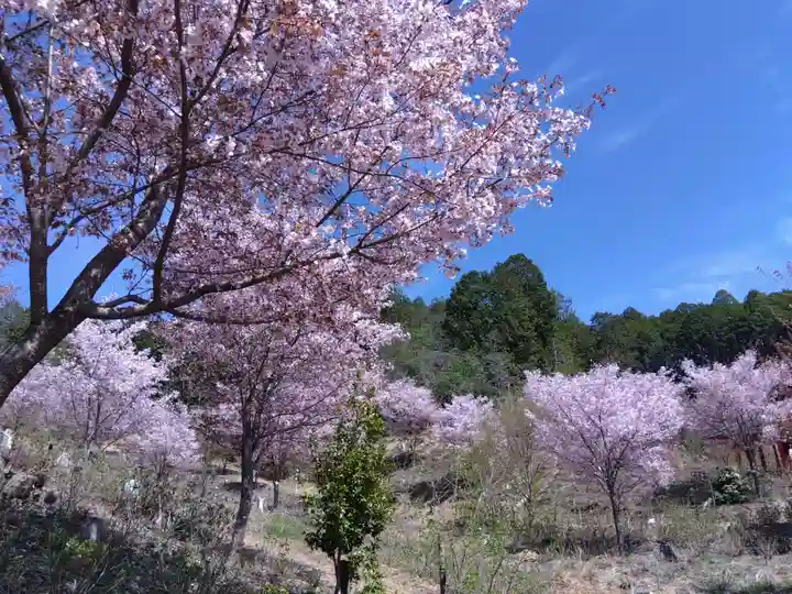 宝泉寺(京都府)