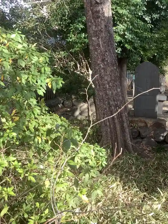 神明社(露橋神明社)の自然