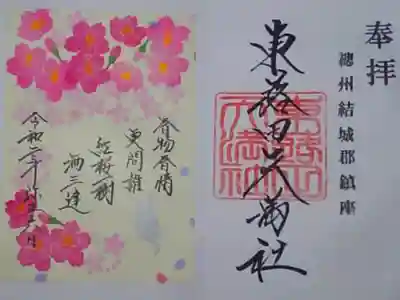 桜と猫
