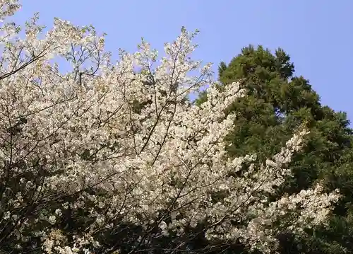 日吉大社(滋賀県)