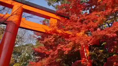 賀茂御祖神社(下鴨神社)の鳥居