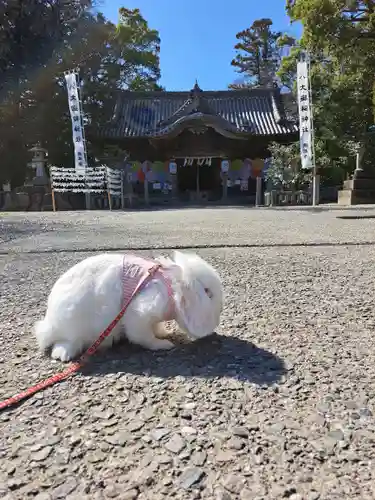 大御和神社(徳島県)