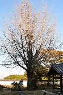 萬年山保国寺(愛媛県)