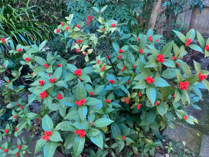 荏柄天神社(神奈川県)