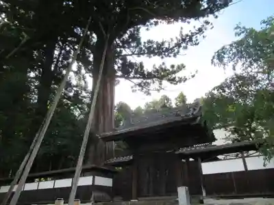 安楽寺(東京都)