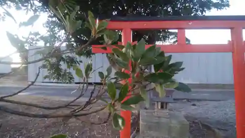 稲荷神社の鳥居