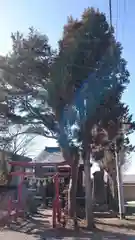 鬼渡神社の自然