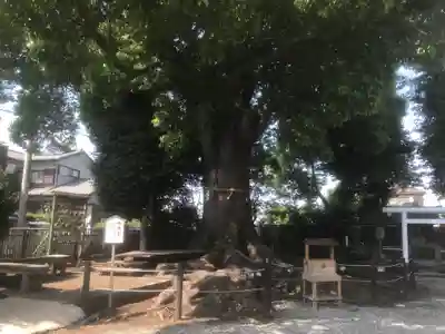日々神社(神奈川県)