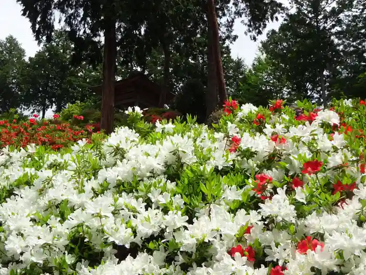 塩船観音寺の自然