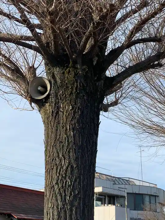 春日神社のその他建物