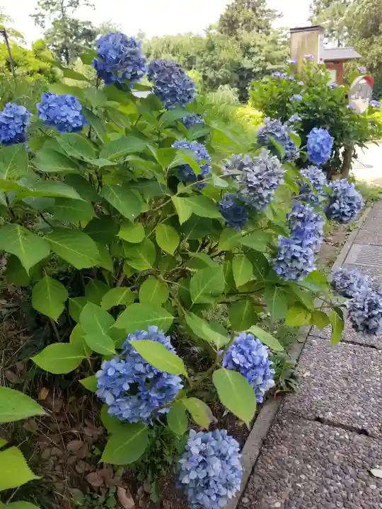 松江城山稲荷神社(島根県)