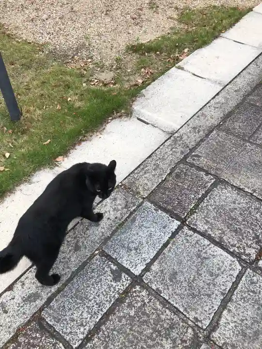 三河三弘法第二番 西福寺の動物