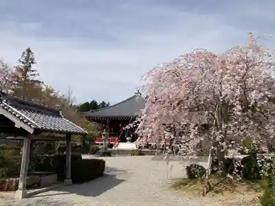 櫟野寺(滋賀県)