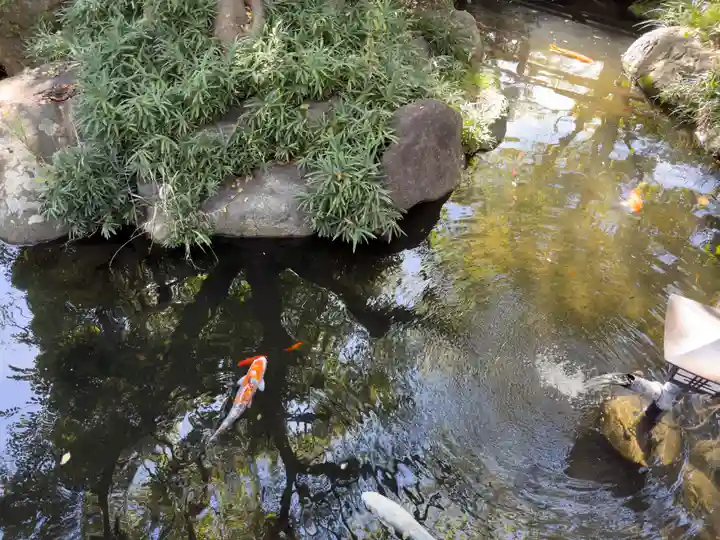 千葉神社(千葉県)