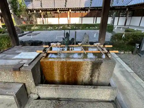 沙沙貴神社の手水舎