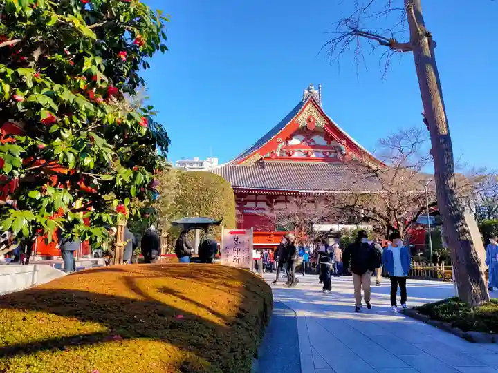 浅草寺(東京都)