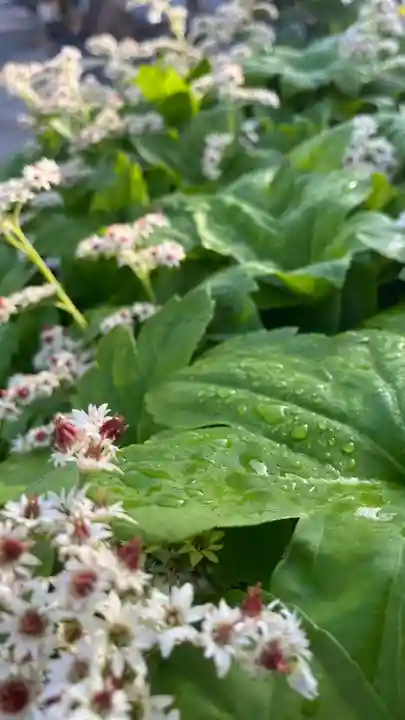 大鏑神社(福島県)