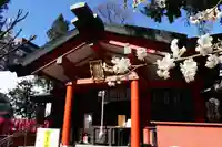 くまくま神社(導きの社 熊野町熊野神社)の本殿・本堂