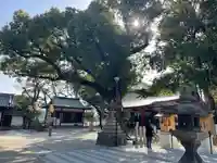 大依羅神社(大阪府)