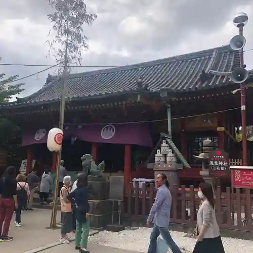 浅草神社の本殿・本堂