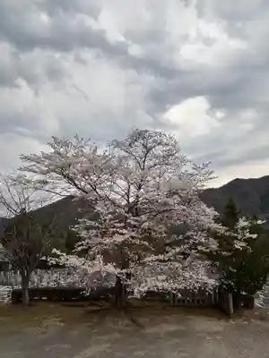 和田寺(兵庫県)