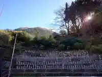 地蔵寺(埼玉県)