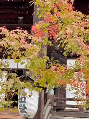 真正極楽寺(真如堂)のその他建物