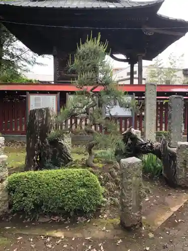 狭山八幡神社の庭園