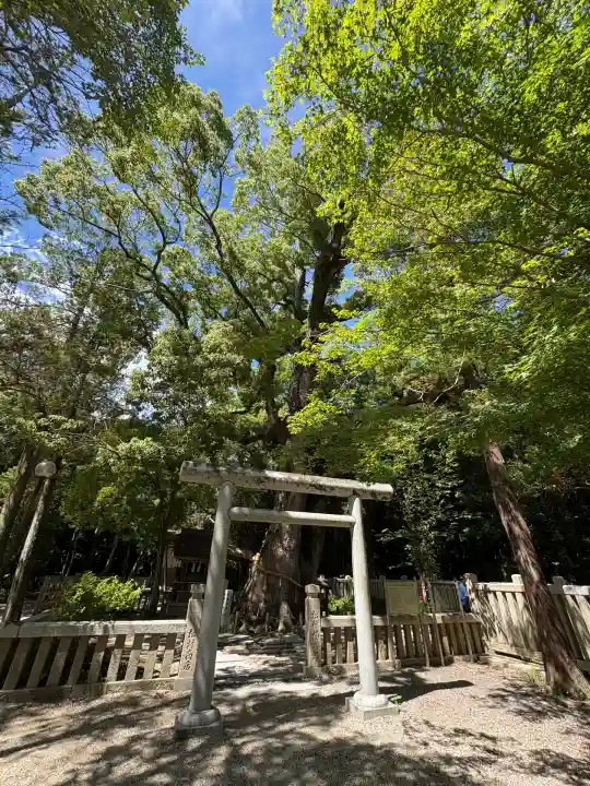 伊弉諾神宮(兵庫県)