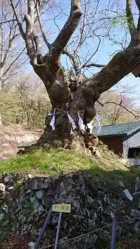 熊野皇大神社の自然