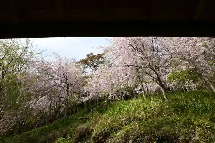 如意輪寺(奈良県)