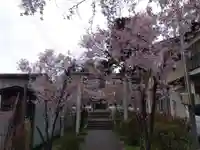 大和神社(新潟県)