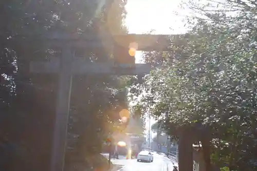 京都乃木神社(京都府)