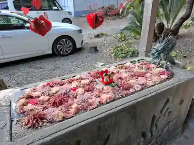 宇佐八幡神社(徳島県)