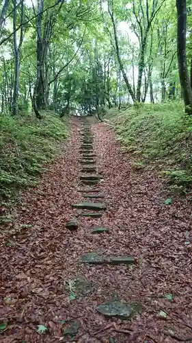越知神社の自然
