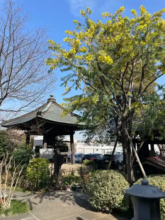 海蔵院の{uncategorized: "未分類", other: "その他", undefined: "問題あり", building: "その他建物", grave: "お墓", sacred_gate: "鳥居", guardian: "狛犬", statue: "像", buddha: "仏像", history: "歴史", nature: "自然", garden: "庭園", animal: "動物", pagoda: "塔", temizu: "手水舎", mountain_gate: "山門・神門", sanctuary: "本殿・本堂", subordinate: "末社・摂社", art: "芸術", scenery: "景色", jizo: "地蔵", ema: "絵馬", goshuin: "御朱印", omikuji: "おみくじ", items: "授与品その他", amulet: "お守り", goshuincho: "御朱印帳", eats: "食事", festival: "お祭り", votive_dance: "神楽", shichigosan: "七五三参", wedding: "結婚式", experience: "体験その他", initially: "初詣", around: "周辺", anti_infection: "感染症対策"}