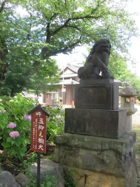 上戸田氷川神社(埼玉県)