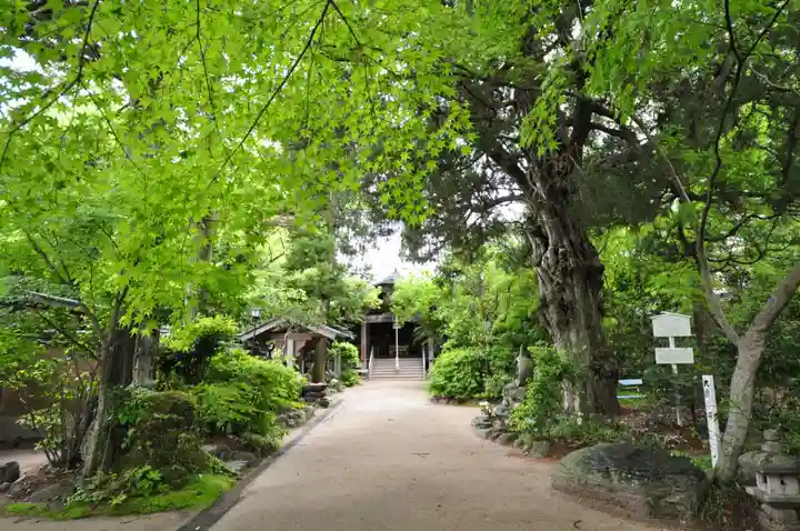 浄瑠璃寺(愛媛県)