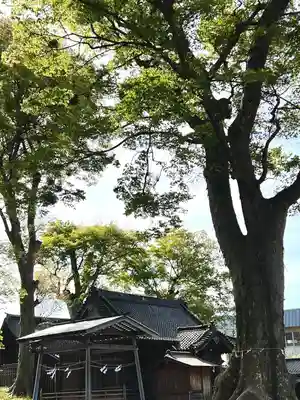 小諸八幡宮(長野県)