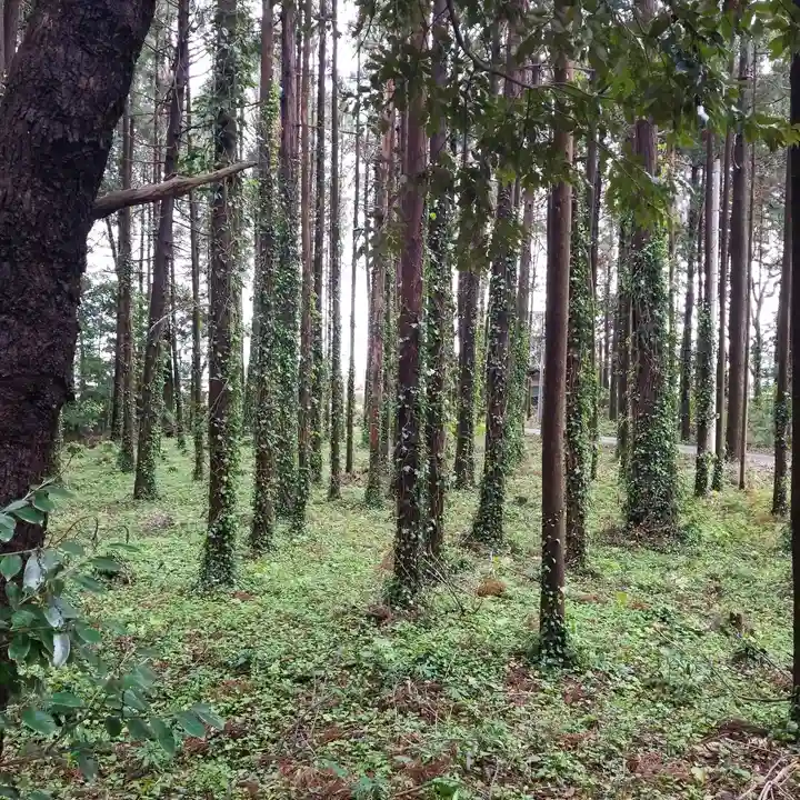 戸隠神社の自然