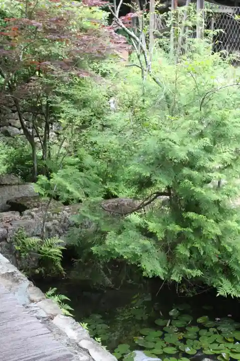 桑實寺(滋賀県)