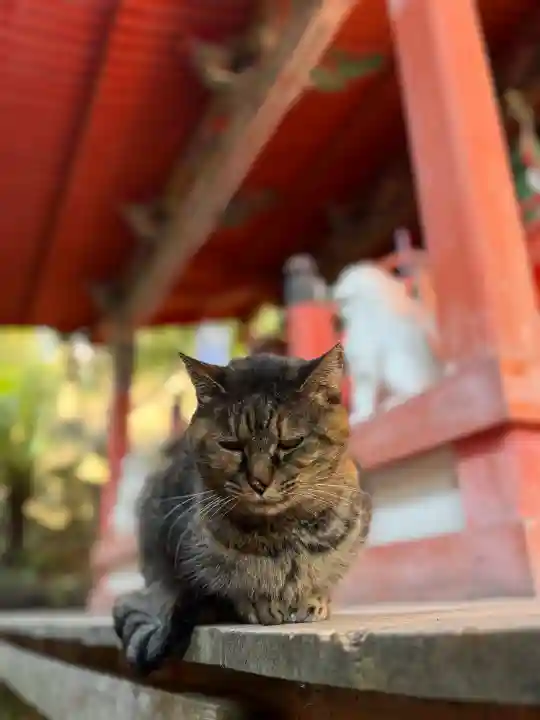 上岩出神社の{uncategorized: "未分類", other: "その他", undefined: "問題あり", building: "その他建物", grave: "お墓", sacred_gate: "鳥居", guardian: "狛犬", statue: "像", buddha: "仏像", history: "歴史", nature: "自然", garden: "庭園", animal: "動物", pagoda: "塔", temizu: "手水舎", mountain_gate: "山門・神門", sanctuary: "本殿・本堂", subordinate: "末社・摂社", art: "芸術", scenery: "景色", jizo: "地蔵", ema: "絵馬", goshuin: "御朱印", omikuji: "おみくじ", items: "授与品その他", amulet: "お守り", goshuincho: "御朱印帳", eats: "食事", festival: "お祭り", votive_dance: "神楽", shichigosan: "七五三参", wedding: "結婚式", experience: "体験その他", initially: "初詣", around: "周辺", anti_infection: "感染症対策"}