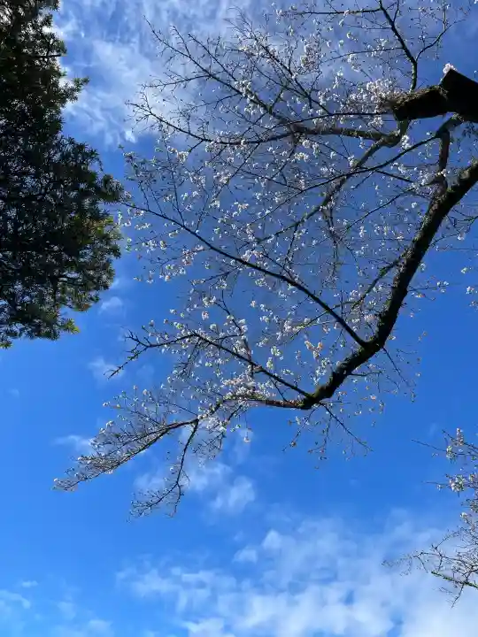 伊勢神宮内宮(皇大神宮)の{uncategorized: "未分類", other: "その他", undefined: "問題あり", building: "その他建物", grave: "お墓", sacred_gate: "鳥居", guardian: "狛犬", statue: "像", buddha: "仏像", history: "歴史", nature: "自然", garden: "庭園", animal: "動物", pagoda: "塔", temizu: "手水舎", mountain_gate: "山門・神門", sanctuary: "本殿・本堂", subordinate: "末社・摂社", art: "芸術", scenery: "景色", jizo: "地蔵", ema: "絵馬", goshuin: "御朱印", omikuji: "おみくじ", items: "授与品その他", amulet: "お守り", goshuincho: "御朱印帳", eats: "食事", festival: "お祭り", votive_dance: "神楽", shichigosan: "七五三参", wedding: "結婚式", experience: "体験その他", initially: "初詣", around: "周辺", anti_infection: "感染症対策"}