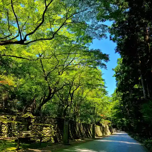 尊永寺(静岡県)