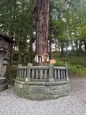 諏訪大社下社春宮(長野県)