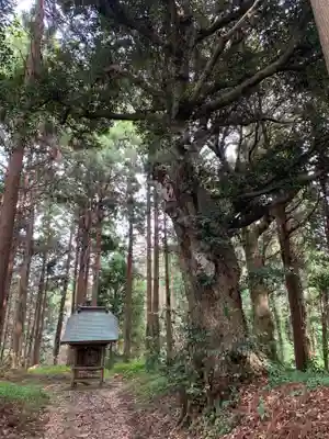 諏訪神社(千葉県)