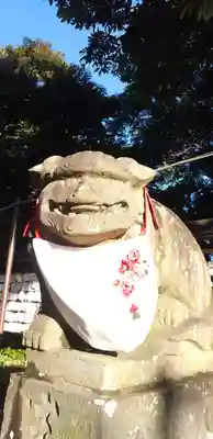 菊田神社の狛犬